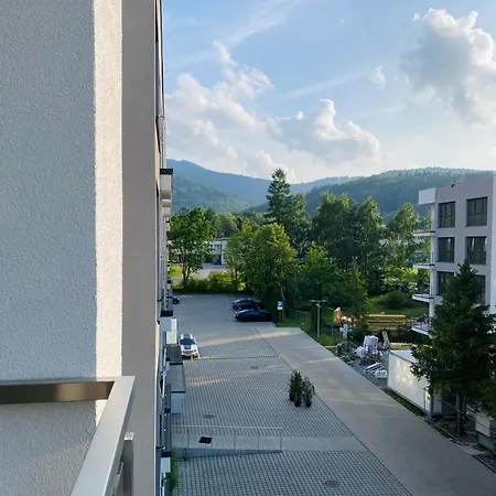 Appartement Business Szyndzielnia