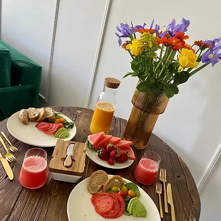 Business Szyndzielnia Appartement Bielsko-Biała
